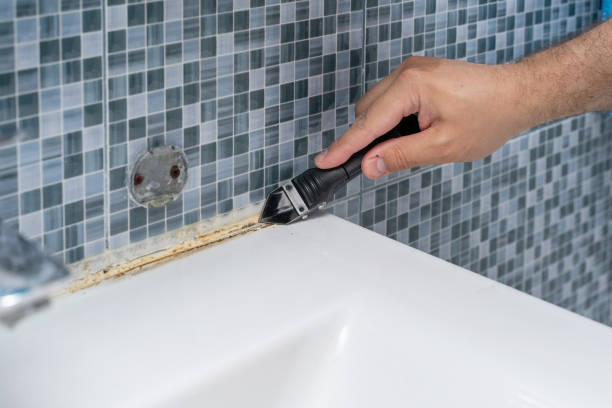 Best Local Mold Removal Service  in Heath, OH